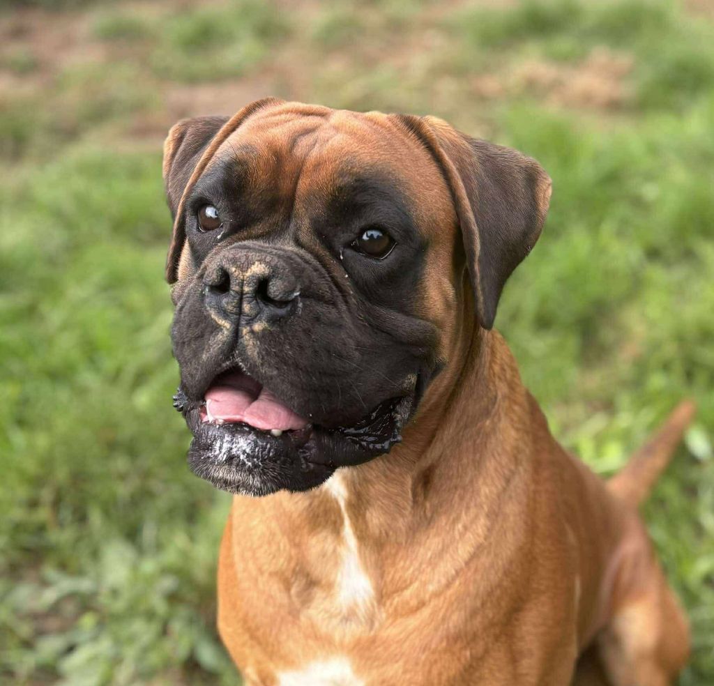 Uno des Mille Fontaines