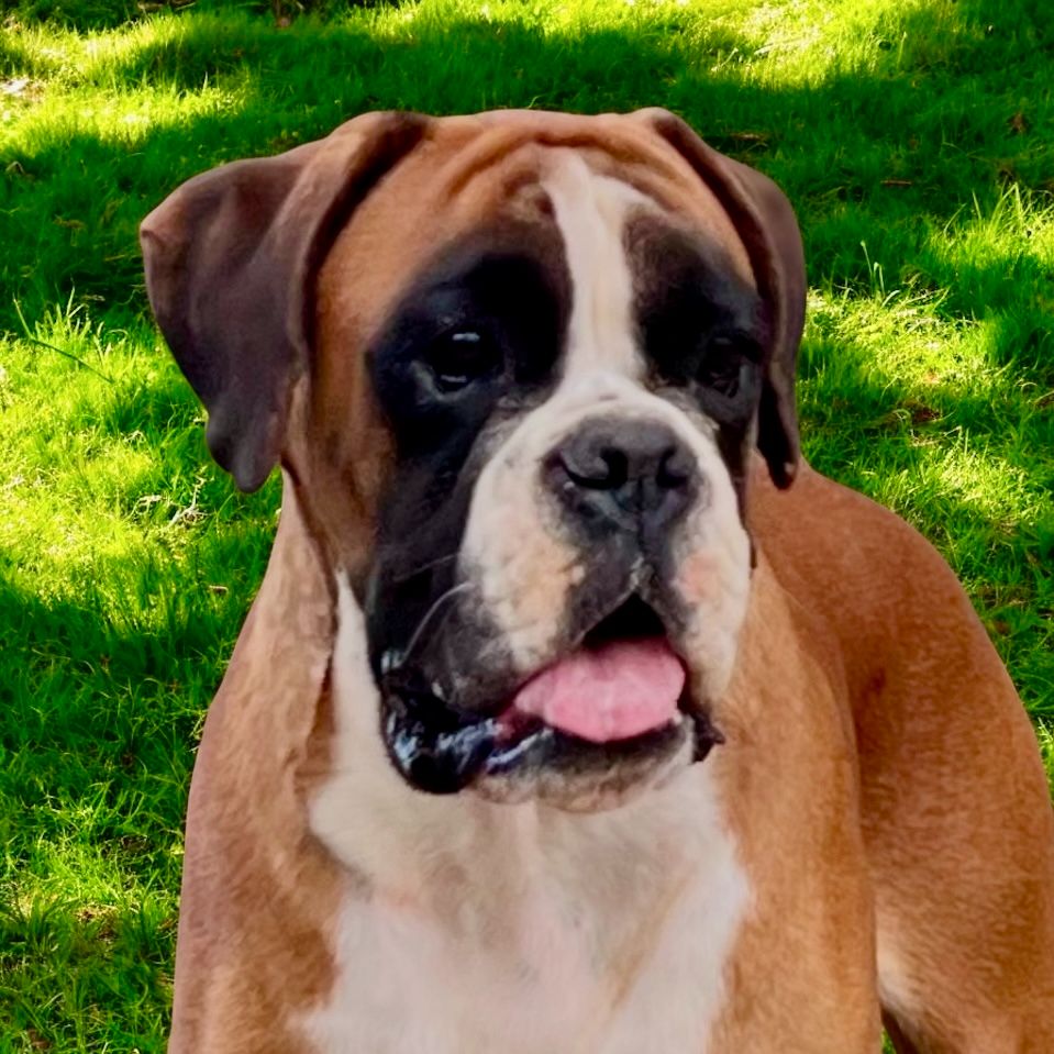 Tessy des Mille Fontaines